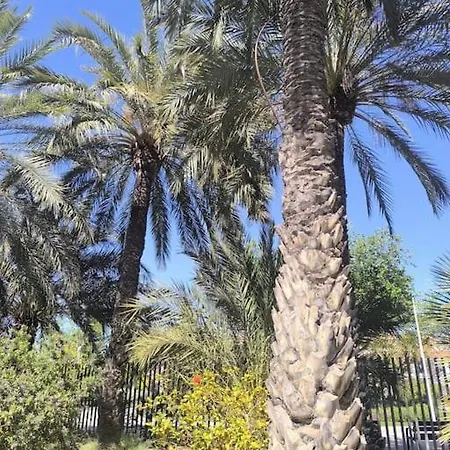 Apartamento Playa, Piscina, Terraza, Parking *